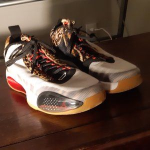 Jason Tatum x Air Jordan 'Zoos'